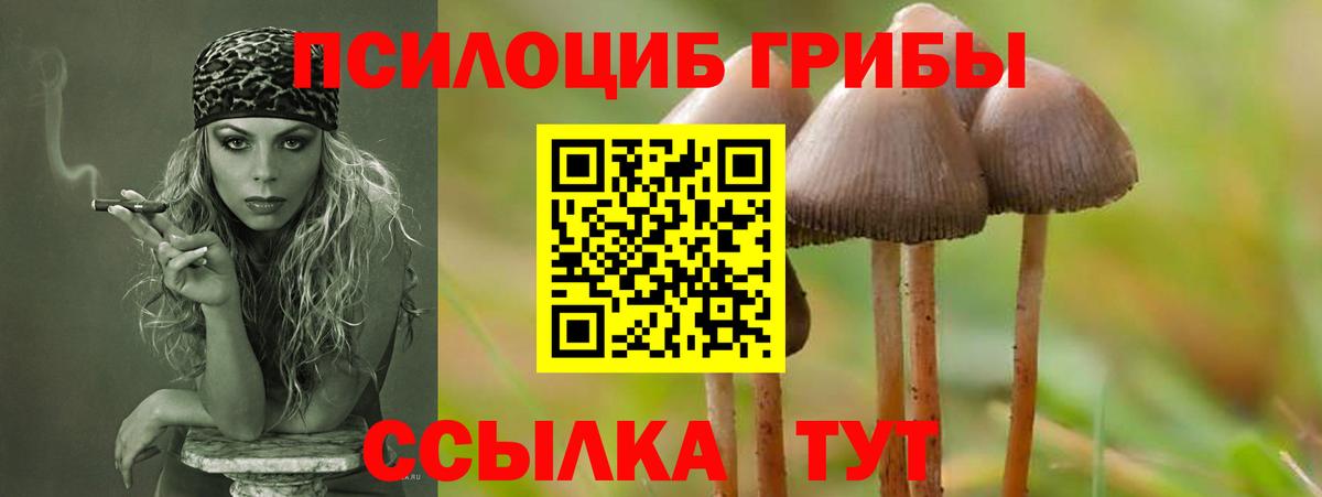 Псилоцибиновые грибы MAGIC MUSHROOMS  Вход с VPN  Костомукша  Галлюциногенные грибы GOLDEN TEACHER 